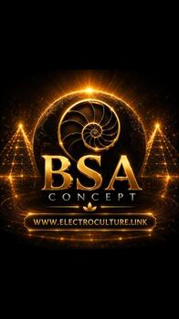 New logo BSA concept