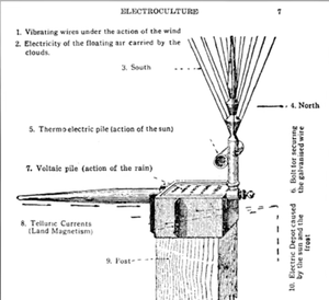 reproduction au plus fid&egrave;le des 2 mod&egrave;le d'antenne de justin christofleau