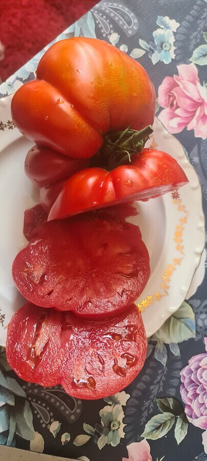 huum d&eacute;licieuse tomate bio du jardin en &eacute;lectroculture