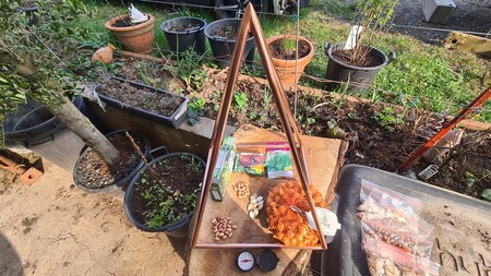 &eacute;lectroculture pyramide cuivre