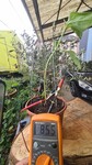 anneau lakhovsky cuivre et zinc test au multim&egrave;tre presque 1 volts tr&eacute;s puissant