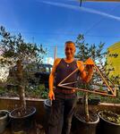 kit complet pyramide transportable &eacute;lectroculture, permaculture, m&eacute;ditation...